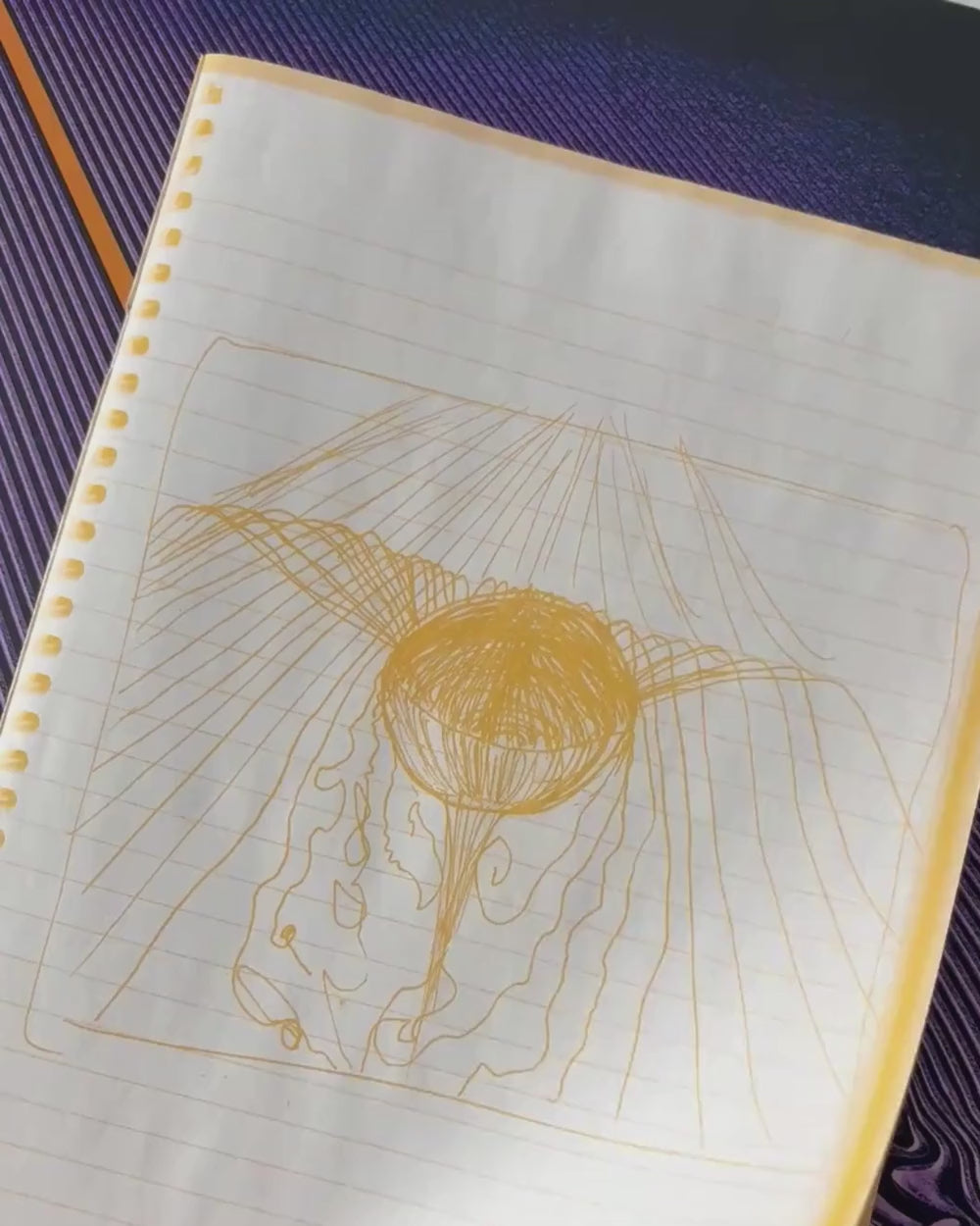 Tame Impala's Currents Collectors Edition boxset booklet